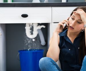 About Emergency plumbing pros Lutz, FL